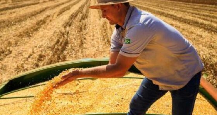 Mato Grosso lidera produção agropecuária brasileira por 4 anos consecutivos
