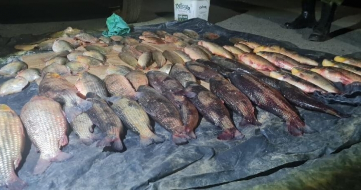  Homem é preso transportando 53 quilos de pescado irregular em Mato Grosso