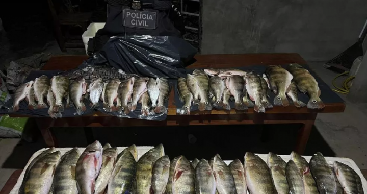 Três homens são presos pela polícia por mais de 60 kg de pescado ilegal, incluindo jacaré e tartaruga